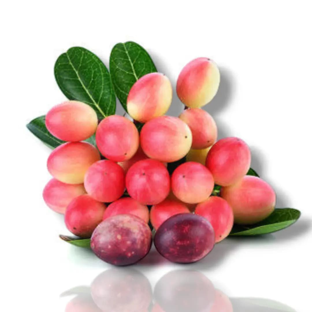 Bengal Currant (Koromcha) 